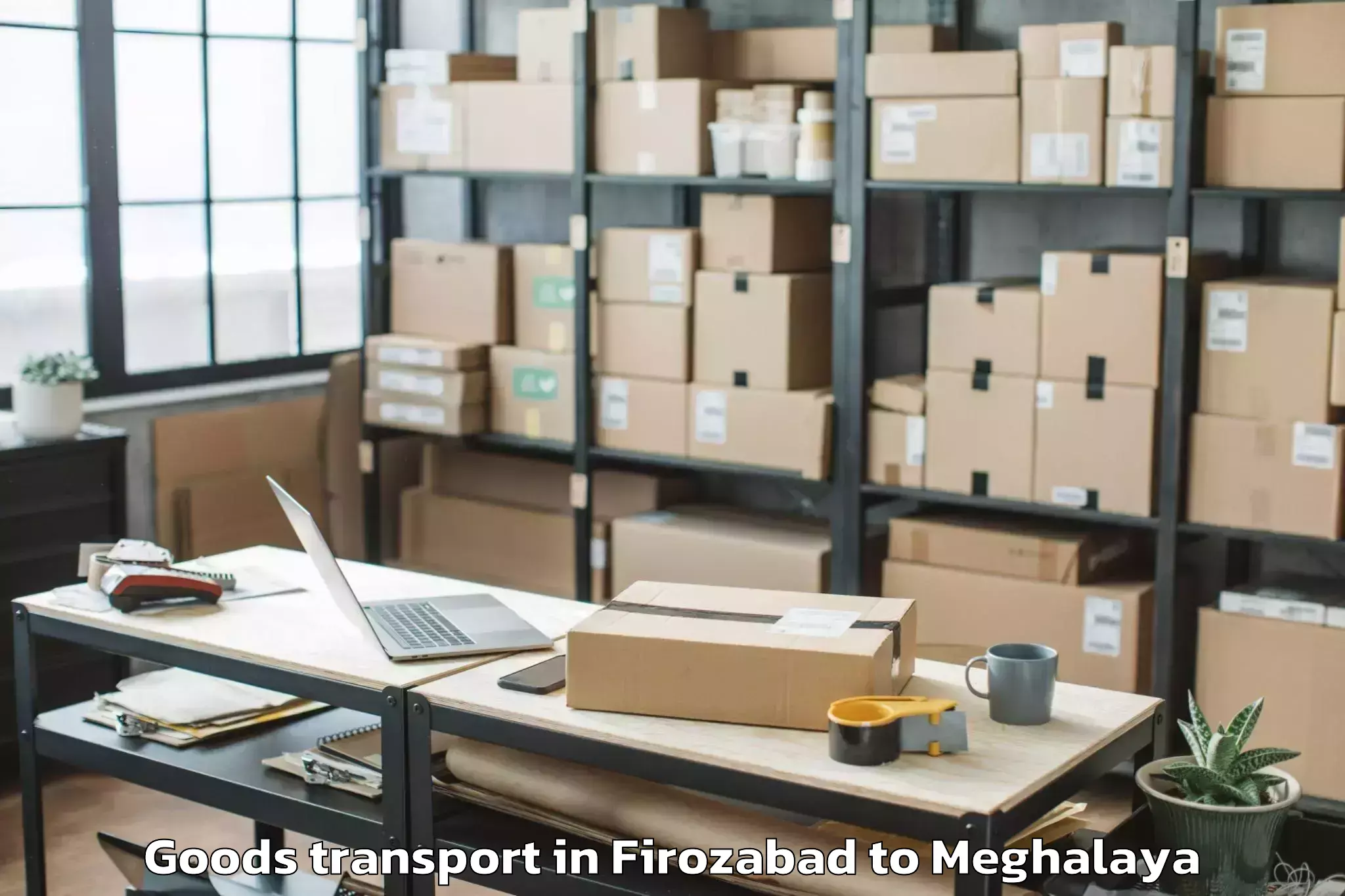 Quality Firozabad to Williamnagar Goods Transport